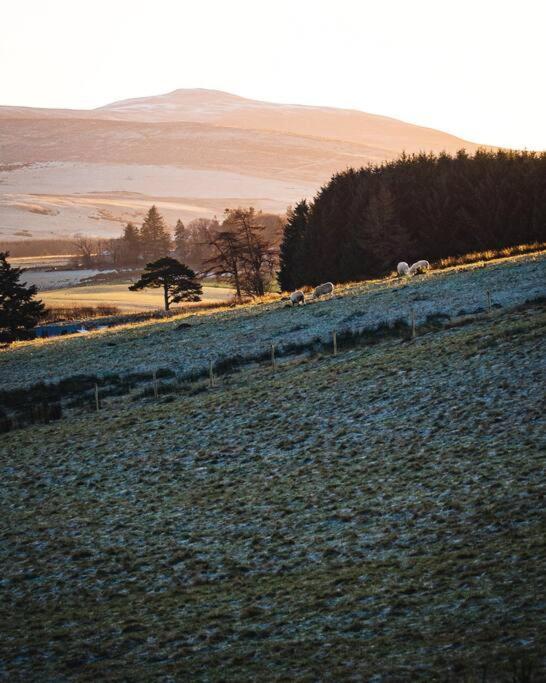 Beatshach Bothy - Speyside, Incredible Location! Apartment Dufftown Exterior foto